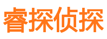 岭东市侦探公司